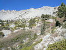 Mt. Baldy